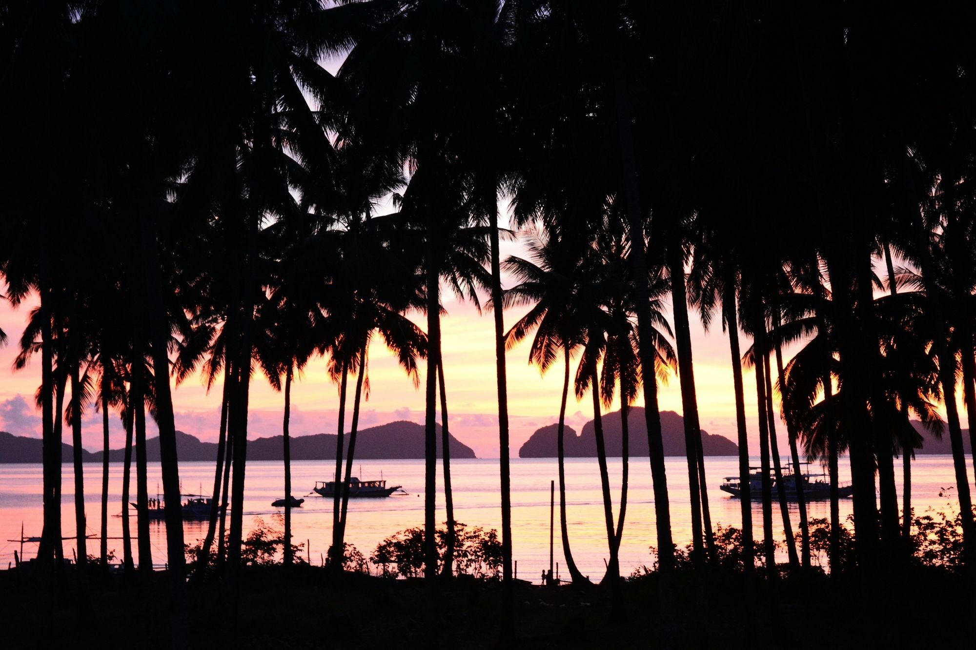 Oyo 712 Island Hop Nido Hostel El Nido Eksteriør billede